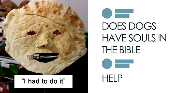 61 Amusing But Also Concerning Things People Shared In Facebook Groups