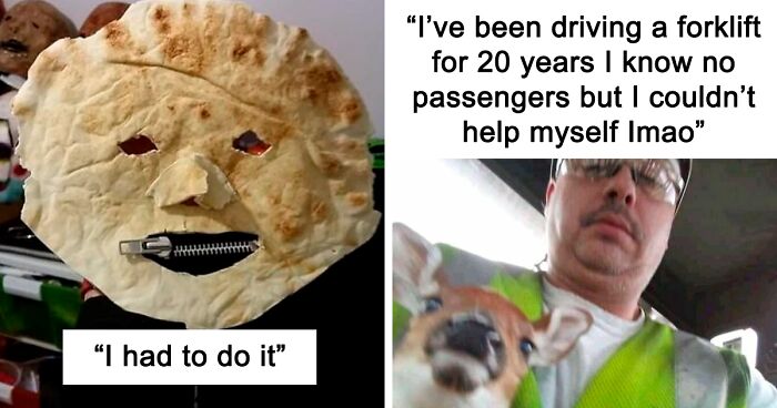 61 Amusing But Also Concerning Things People Shared In Facebook Groups