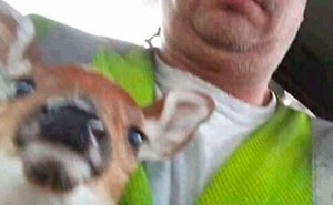 People Tend To Overshare In Facebook Groups And Here Are 61 Of The Funniest And Weirdest Posts