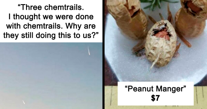 “If I Were President”: 83 Neighbors Who Wrote The Most Absurd, Chaotic And Funny Things On NextDoor (New Pics)