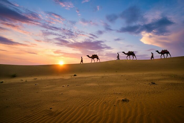 Desert scene at sunset with people and camels, capturing moments of culture shock in foreign travel experiences.