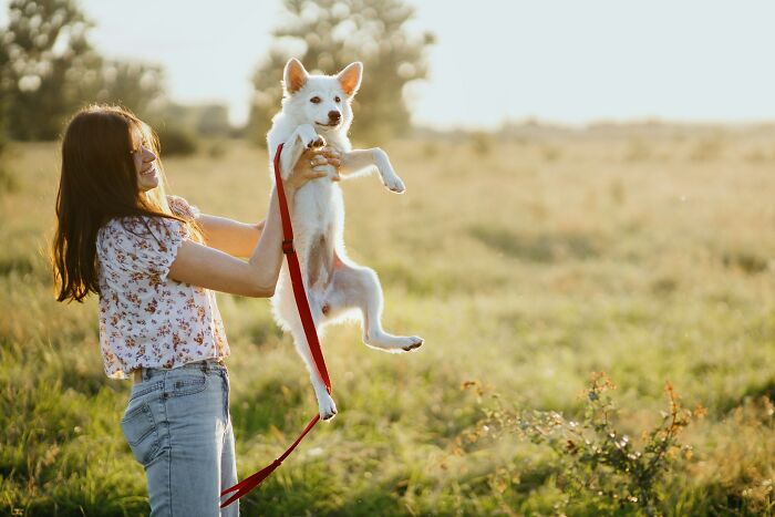 Woman holding a small white dog on a leash in a sunny field, symbolizing forgiveness in a relationship after cheating.