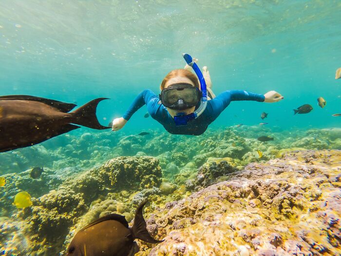 Underwater snorkeling scene with diver and fish, illustrating one of the scariest experiences people still can't believe.
