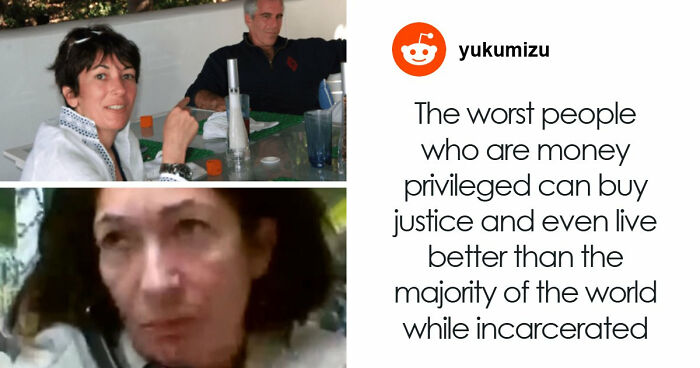 “Toby The 80-Year-Man Trapped In A Chihuahua Body”: 81 Hilarious Dogs Being Their Goofy Selves (New Pics)