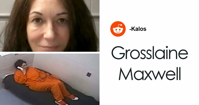 “Toby The 80-Year-Man Trapped In A Chihuahua Body”: 81 Hilarious Dogs Being Their Goofy Selves (New Pics)