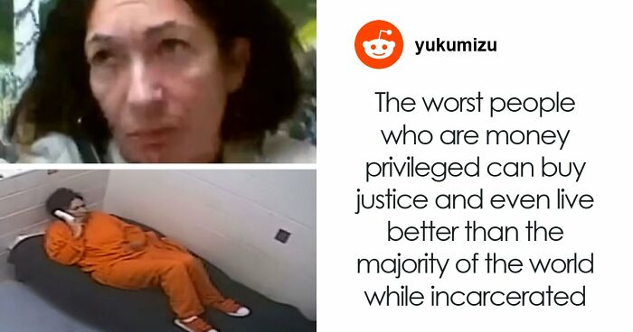 “Toby The 80-Year-Man Trapped In A Chihuahua Body”: 81 Hilarious Dogs Being Their Goofy Selves (New Pics)