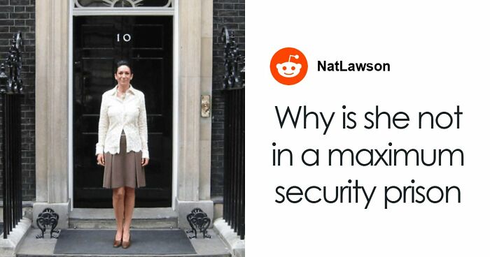 “Toby The 80-Year-Man Trapped In A Chihuahua Body”: 81 Hilarious Dogs Being Their Goofy Selves (New Pics)