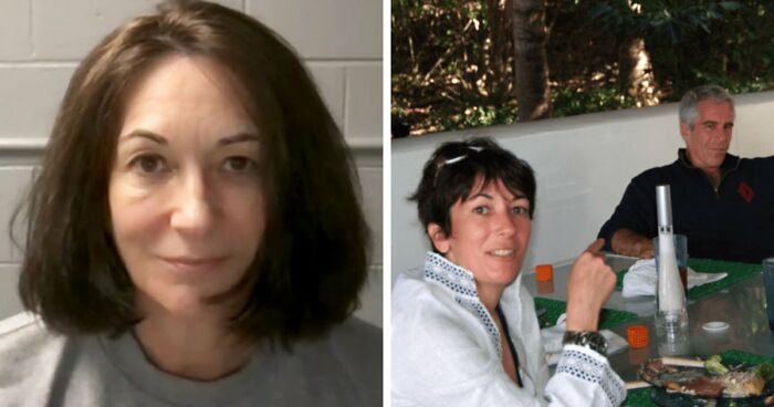 “Toby The 80-Year-Man Trapped In A Chihuahua Body”: 81 Hilarious Dogs Being Their Goofy Selves (New Pics)