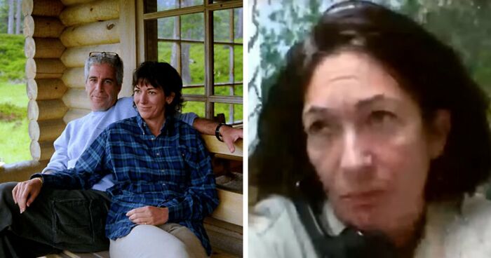 “Toby The 80-Year-Man Trapped In A Chihuahua Body”: 81 Hilarious Dogs Being Their Goofy Selves (New Pics)