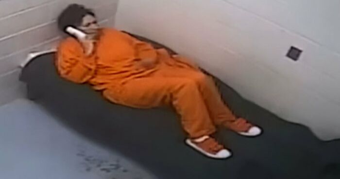 “Toby The 80-Year-Man Trapped In A Chihuahua Body”: 81 Hilarious Dogs Being Their Goofy Selves (New Pics)