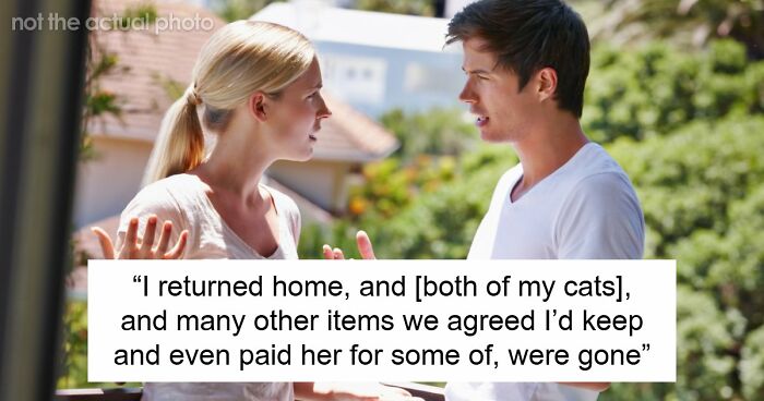 Man’s “Perfect” Relationship Falls Apart After Girlfriend Cheats, Takes His Cat And Disappears