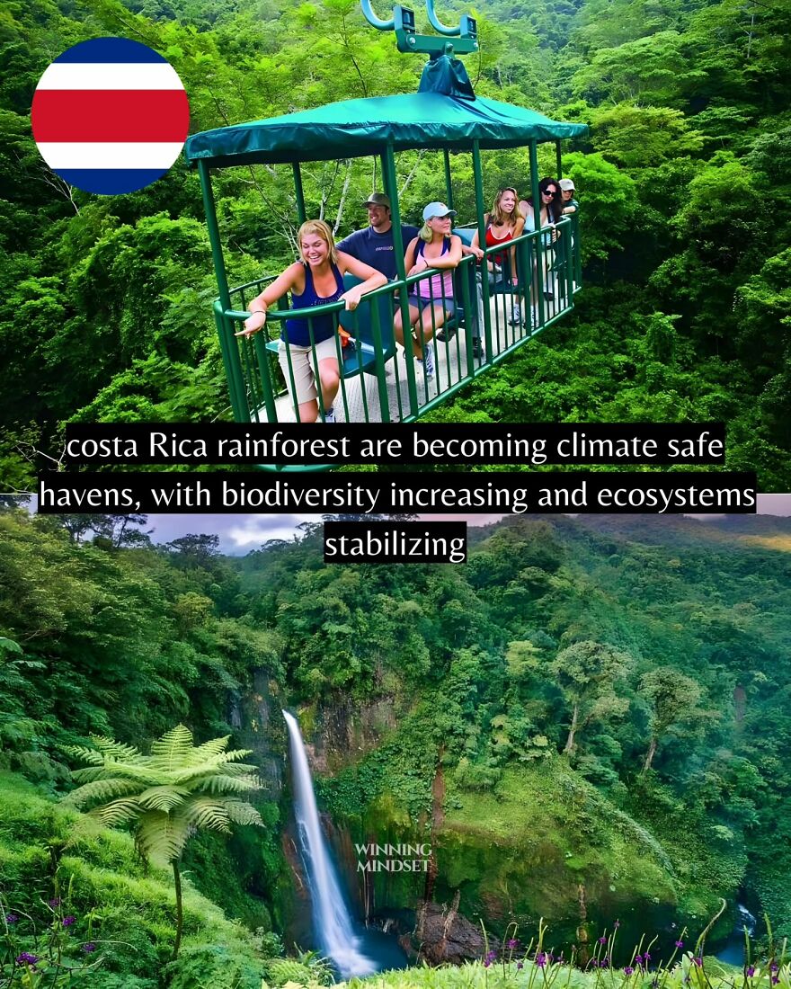 Group of people enjoying a sky tram ride over Costa Rica rainforest, highlighting positive news about biodiversity and ecosystems.