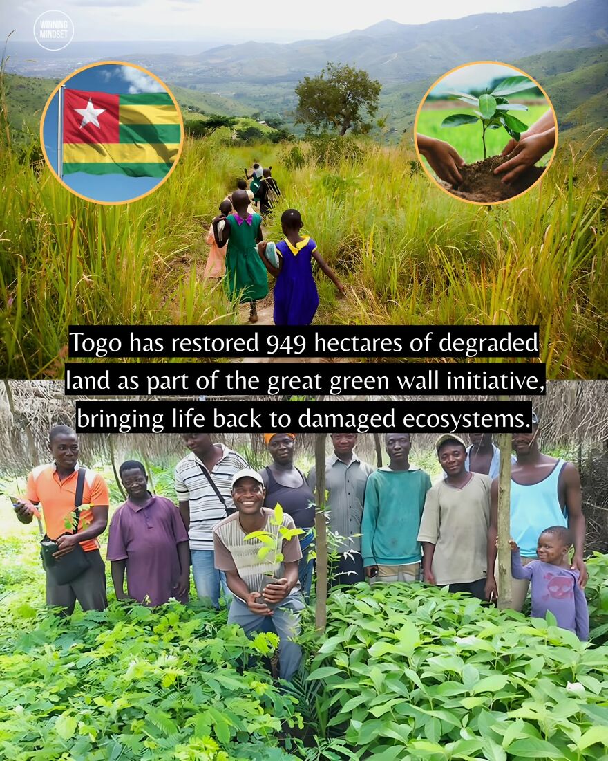 Community in Togo restores degraded land contributing to the great green wall initiative and ecosystem recovery.