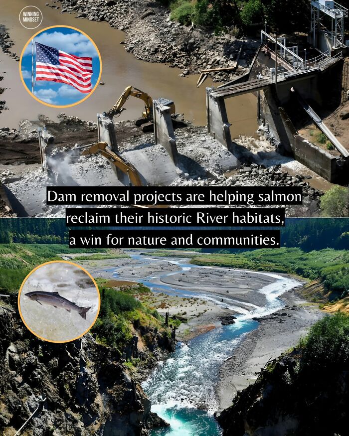 If You Can’t Take It Anymore, Here Are 55 Good News Stories That Recently Happened (New Pics)