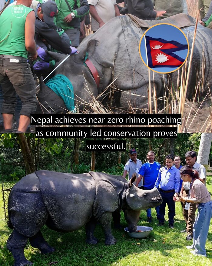 If You Can’t Take It Anymore, Here Are 55 Good News Stories That Recently Happened (New Pics)