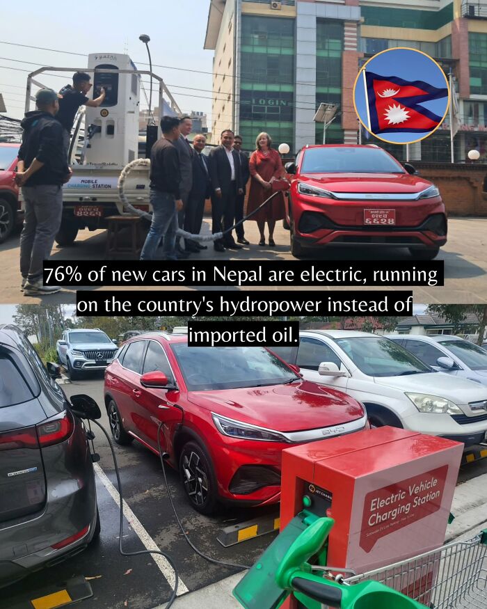 If You Can’t Take It Anymore, Here Are 55 Good News Stories That Recently Happened (New Pics)