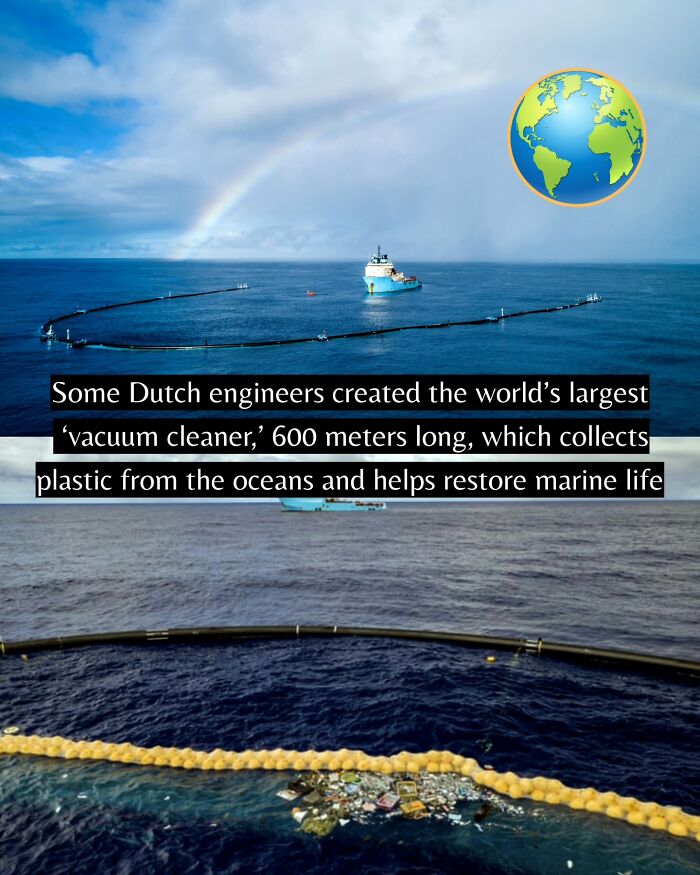 If You Can’t Take It Anymore, Here Are 55 Good News Stories That Recently Happened (New Pics)