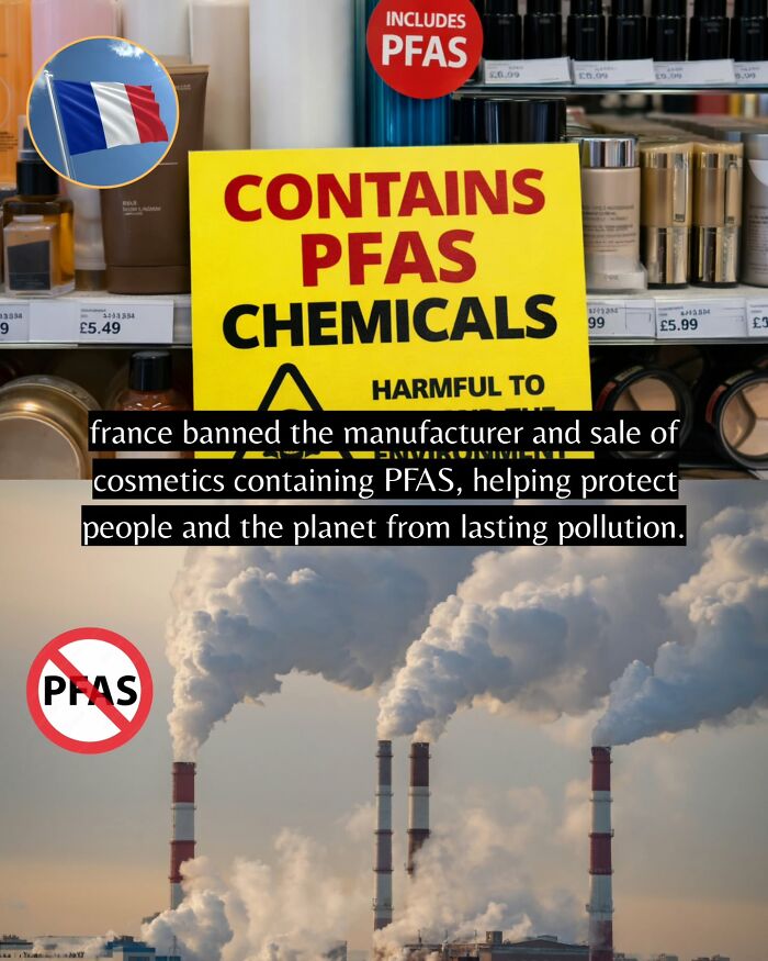 If You Can’t Take It Anymore, Here Are 55 Good News Stories That Recently Happened (New Pics)