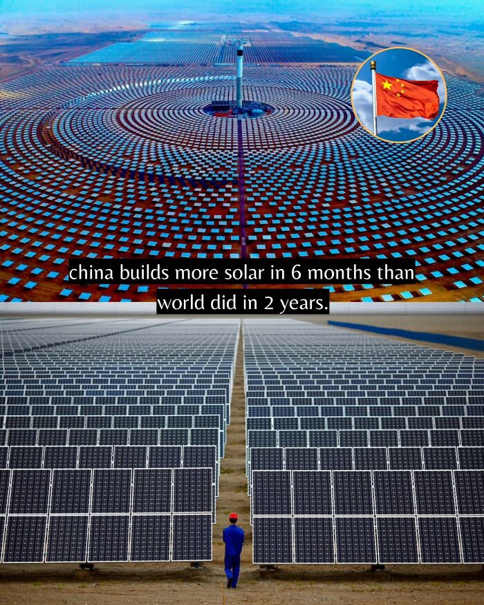 If You Can’t Take It Anymore, Here Are 55 Good News Stories That Recently Happened (New Pics)