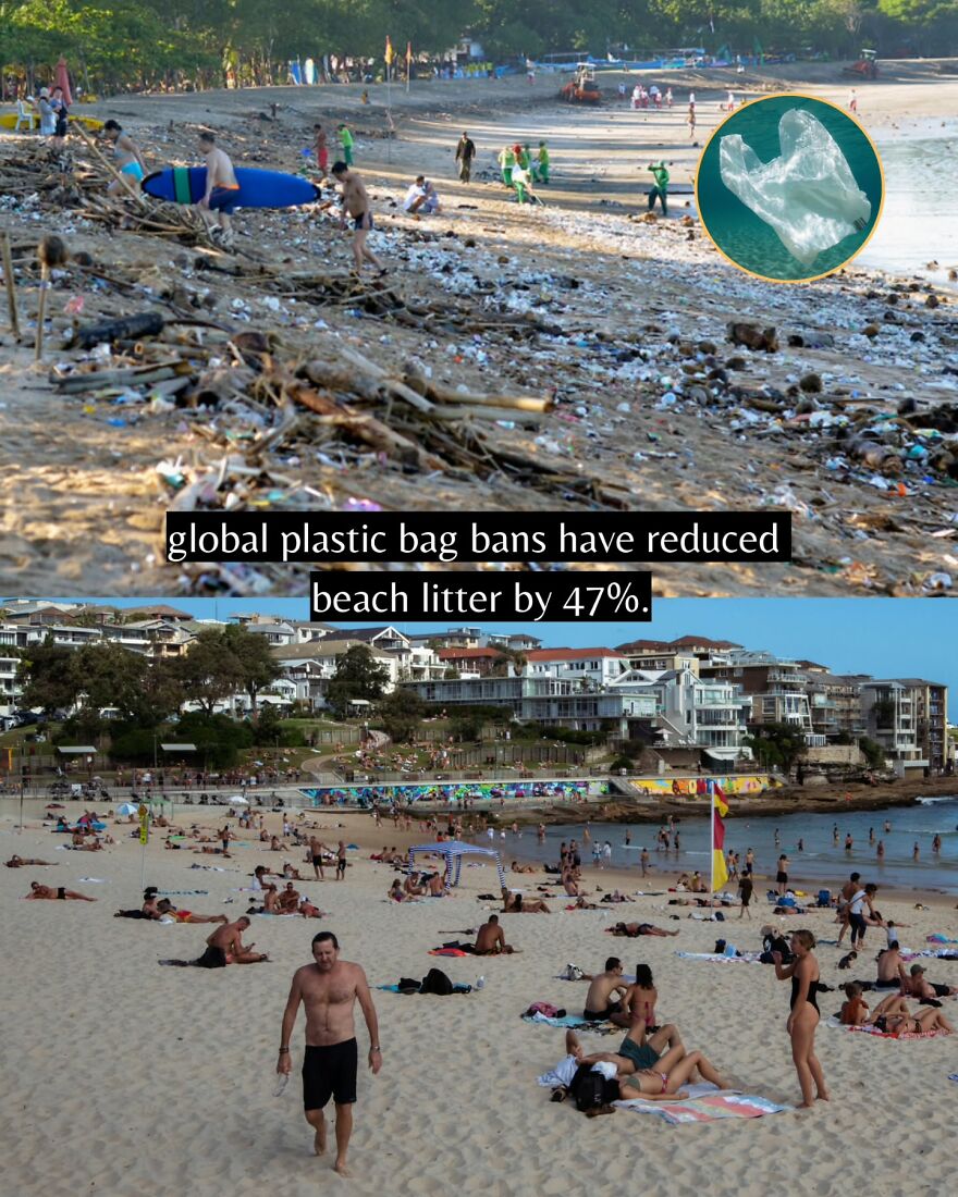 Before and after images showing the impact of global plastic bag bans reducing beach litter by 47 percent.