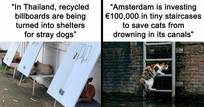 77 Good News From Around The World That Might Make Life A Little Bit Better