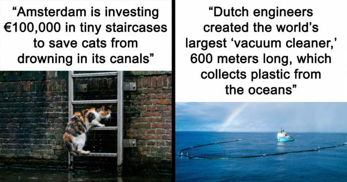 77 Wholesome And Good News For Those Who Want A Little Bit Of Hope Today