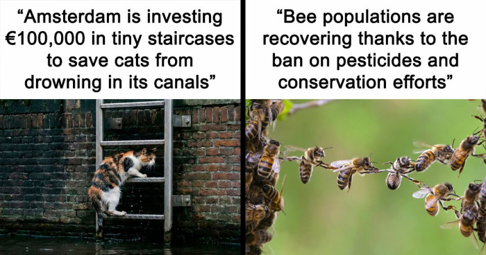 77 Good News For Those Who Gave Up On The World