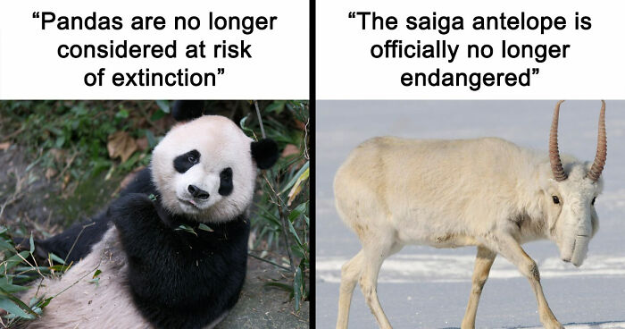 77 Good News From Around The World That Might Make Life A Little Bit Better