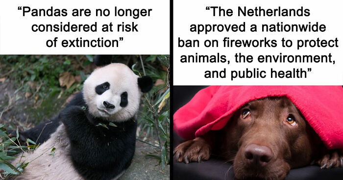 77 Good News From Around The World That Might Make Life A Little Bit Better