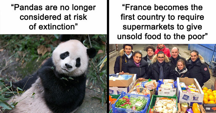 77 Good News From Around The World That Might Make Life A Little Bit Better