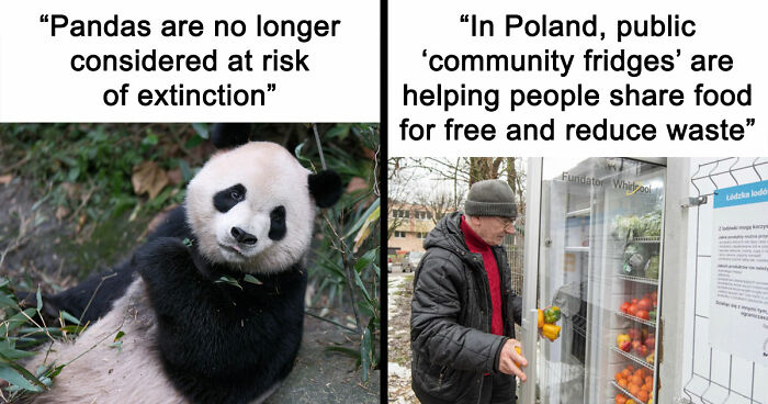 77 Good News From Around The World That Might Make Life A Little Bit Better