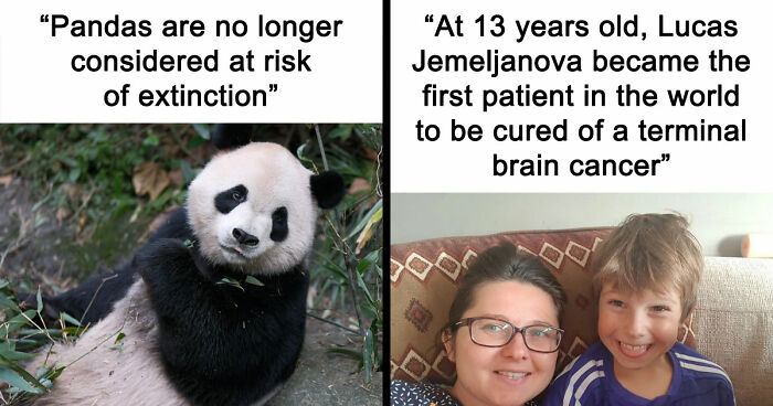 77 Good News From Around The World That Might Make Life A Little Bit Better