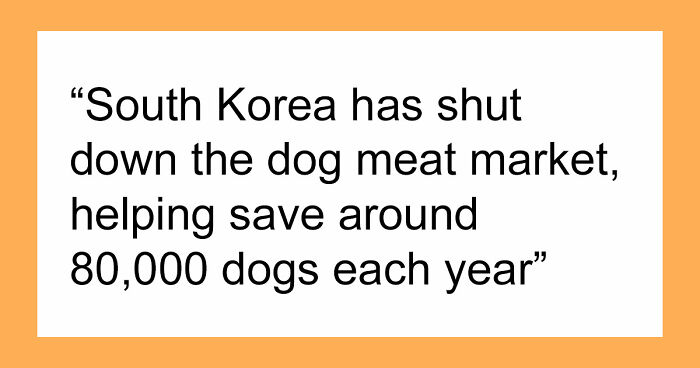 77 Good News From Around The World That Might Make Life A Little Bit Better