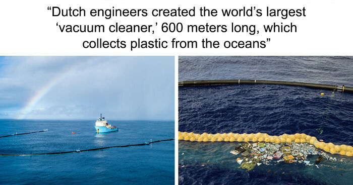 77 Good News From Around The World That Might Make Life A Little Bit Better