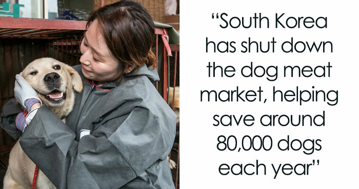 77 Good News From Around The World That Might Make Life A Little Bit Better