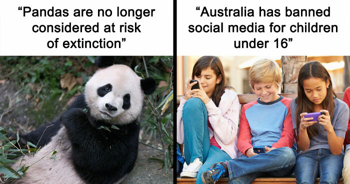 77 Good News From Around The World That Might Make Life A Little Bit Better