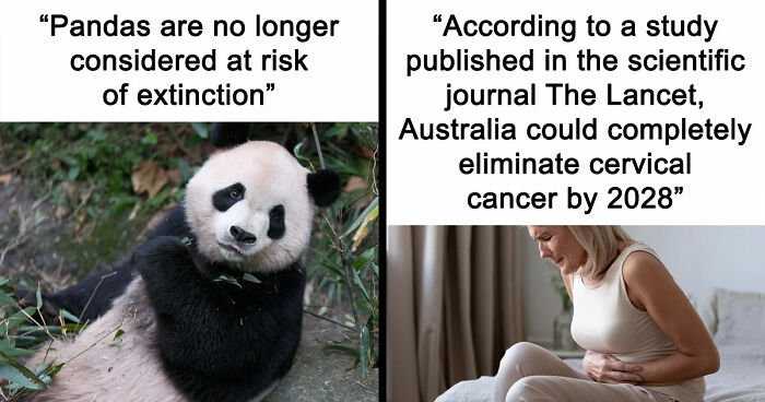 77 Good News From Around The World That Might Make Life A Little Bit Better