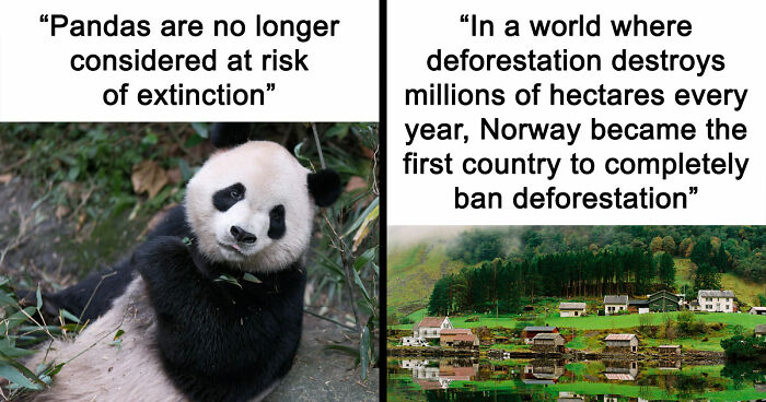 77 Good News From Around The World That Might Make Life A Little Bit Better