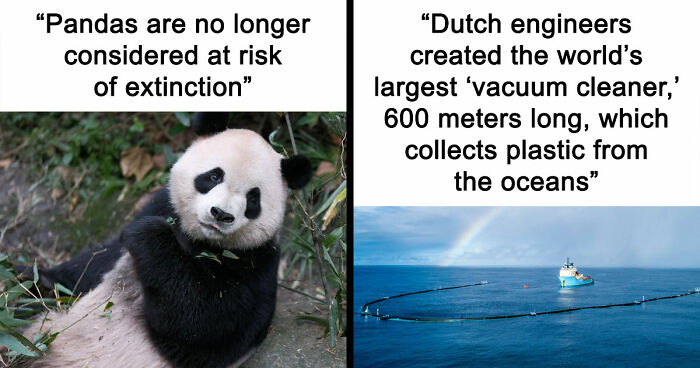 77 Good News From Around The World That Might Make Life A Little Bit Better