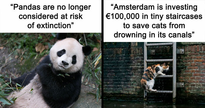 77 Good News From Around The World That Might Make Life A Little Bit Better