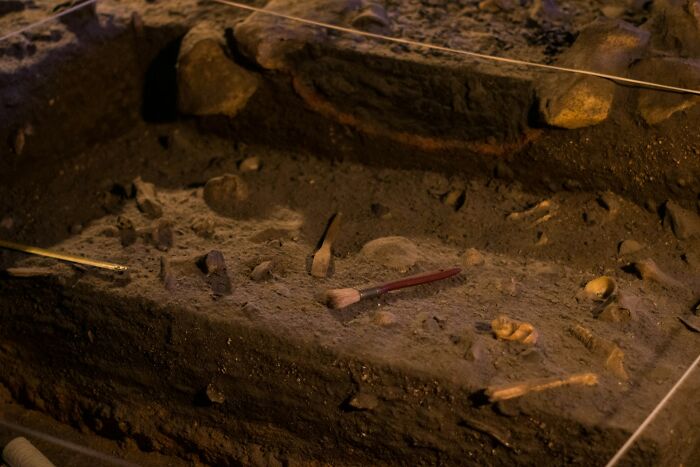 47 Times Archaeologists Dug Up Surprising Finds That Should Have Been Major News