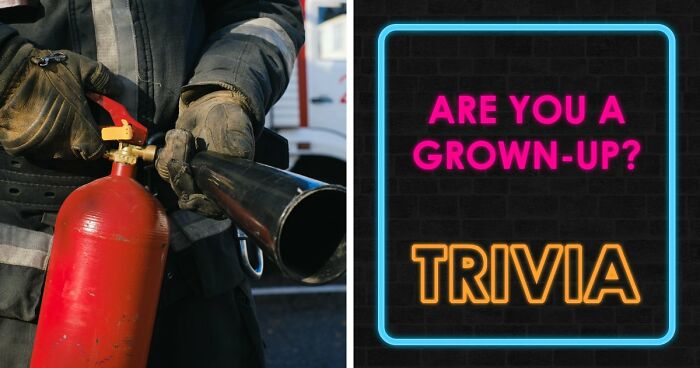 “Think You’re A Responsible Adult?”: These 30 Questions Might Make You Reconsider