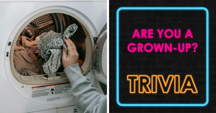 “Think You’re A Responsible Adult?”: These 30 Questions Might Make You Reconsider