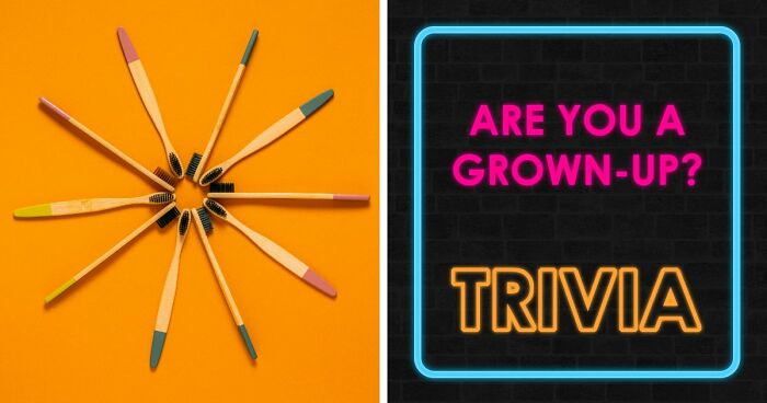 “Think You’re A Responsible Adult?”: These 30 Questions Might Make You Reconsider