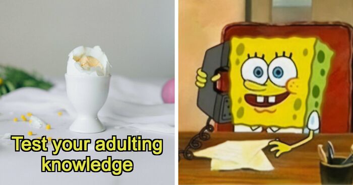 “Think You’re A Responsible Adult?”: These 30 Questions Might Make You Reconsider