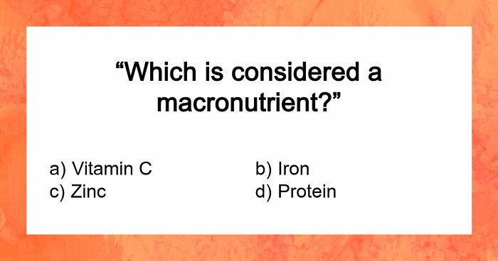 “Think You’re A Responsible Adult?”: These 30 Questions Might Make You Reconsider