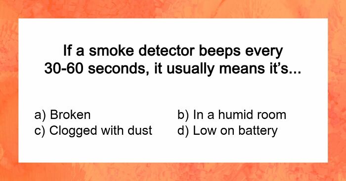 “Think You’re A Responsible Adult?”: These 30 Questions Might Make You Reconsider