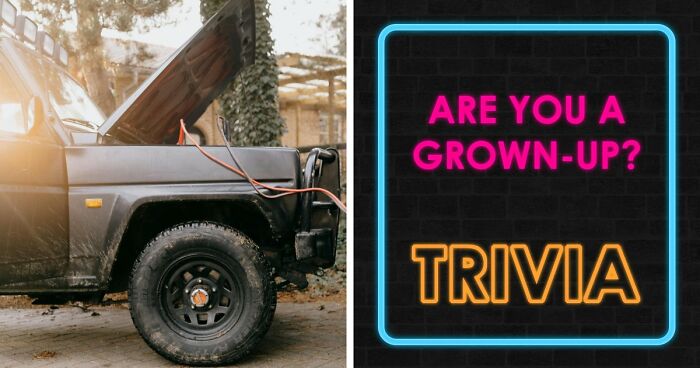 “Think You’re A Responsible Adult?”: These 30 Questions Might Make You Reconsider