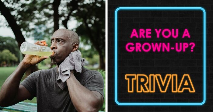 “Think You’re A Responsible Adult?”: These 30 Questions Might Make You Reconsider