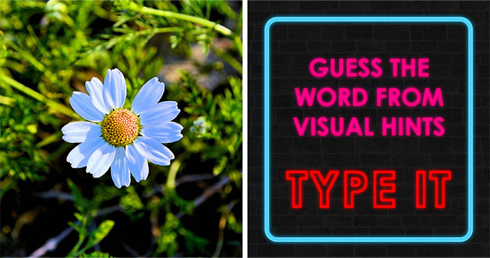 Guess The Hidden Word From Two Picture Clues – Beat All 29 Challenges